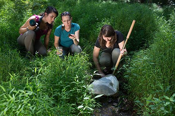 Photo of three Chatham University students sit in grassy field with a shovel, camera, and bag doing research