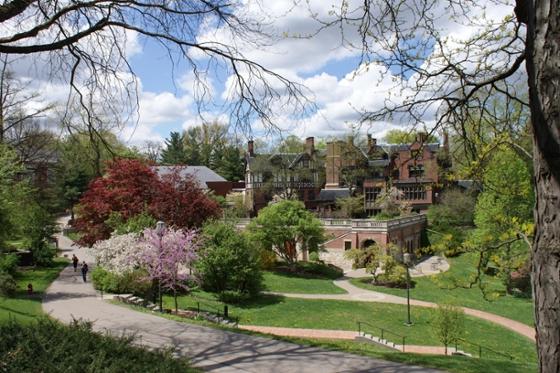 Redbrick academic buildings on 波胆网站 Shadyside campus are framed by colorful budding trees and green grass. 